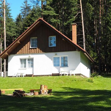 Hotel Lojzovy Paseky Frymburk Esterno foto