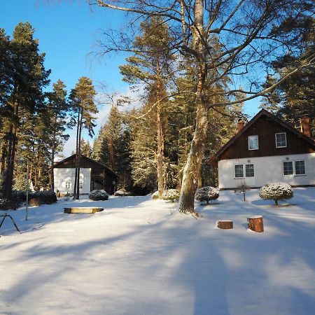 Hotel Lojzovy Paseky Frymburk Esterno foto