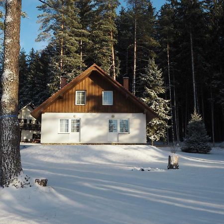 Hotel Lojzovy Paseky Frymburk Esterno foto