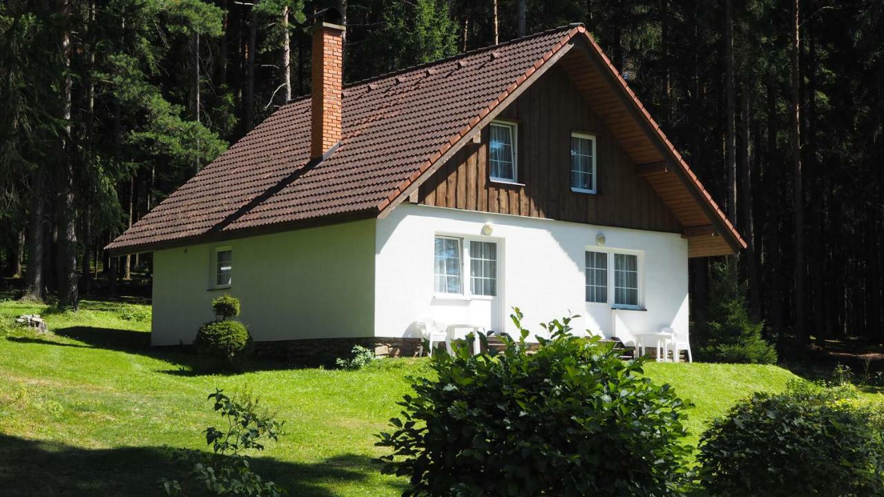 Hotel Lojzovy Paseky Frymburk Esterno foto