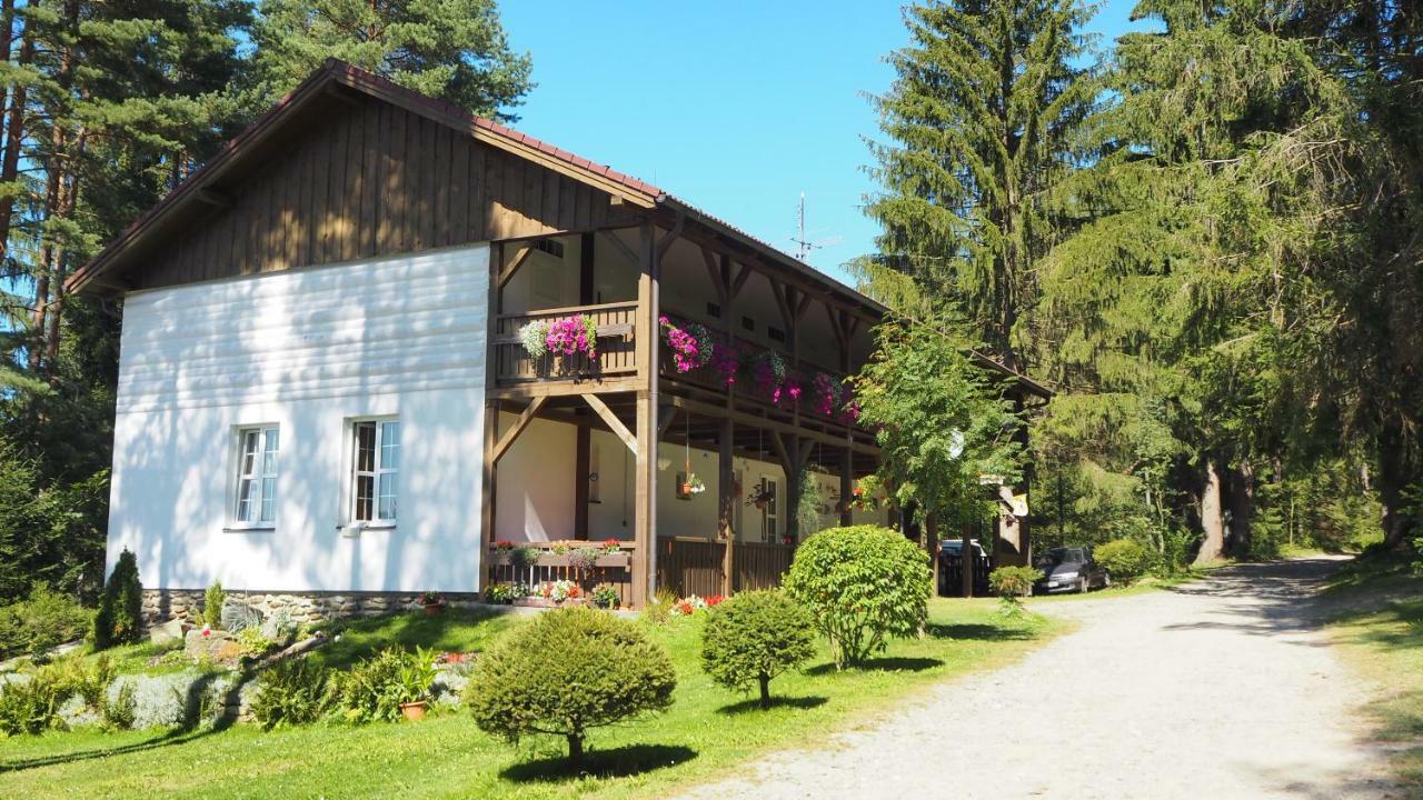 Hotel Lojzovy Paseky Frymburk Esterno foto