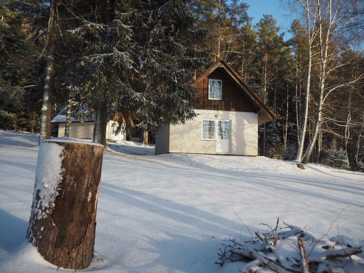 Hotel Lojzovy Paseky Frymburk Esterno foto