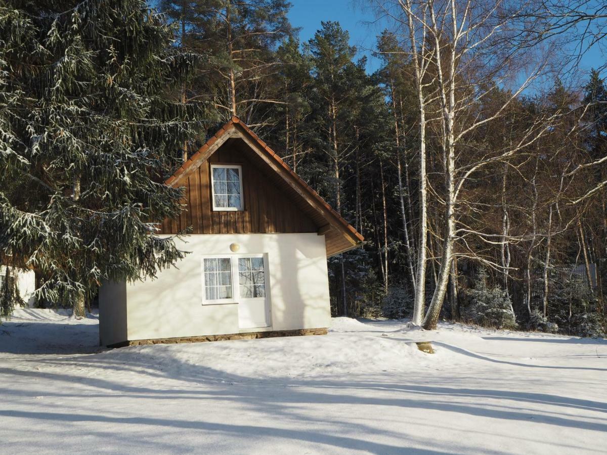 Hotel Lojzovy Paseky Frymburk Esterno foto