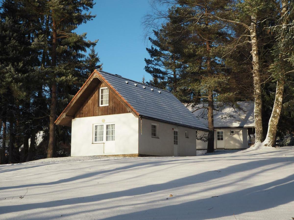 Hotel Lojzovy Paseky Frymburk Esterno foto