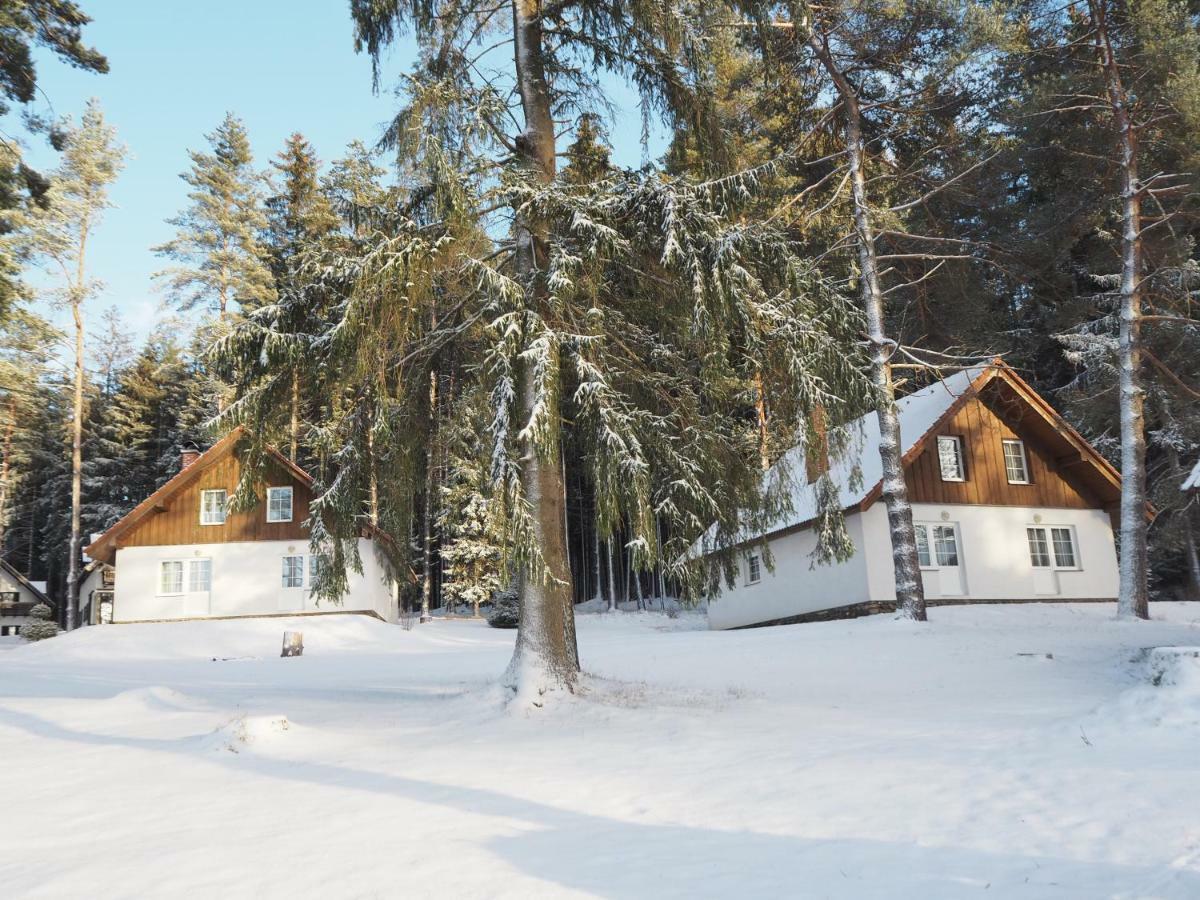 Hotel Lojzovy Paseky Frymburk Esterno foto