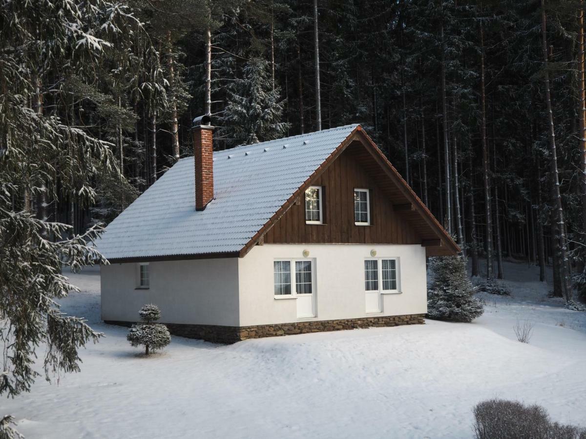 Hotel Lojzovy Paseky Frymburk Esterno foto