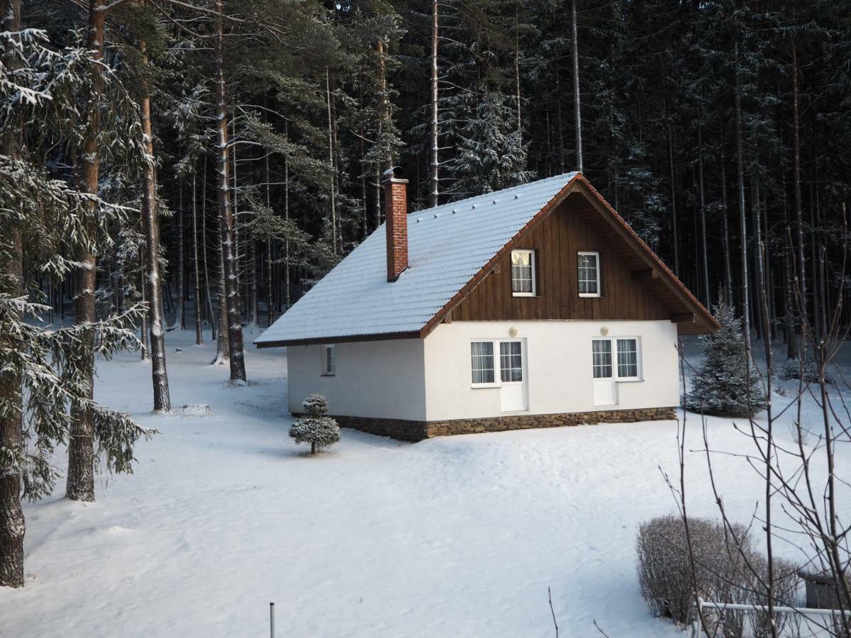 Hotel Lojzovy Paseky Frymburk Esterno foto