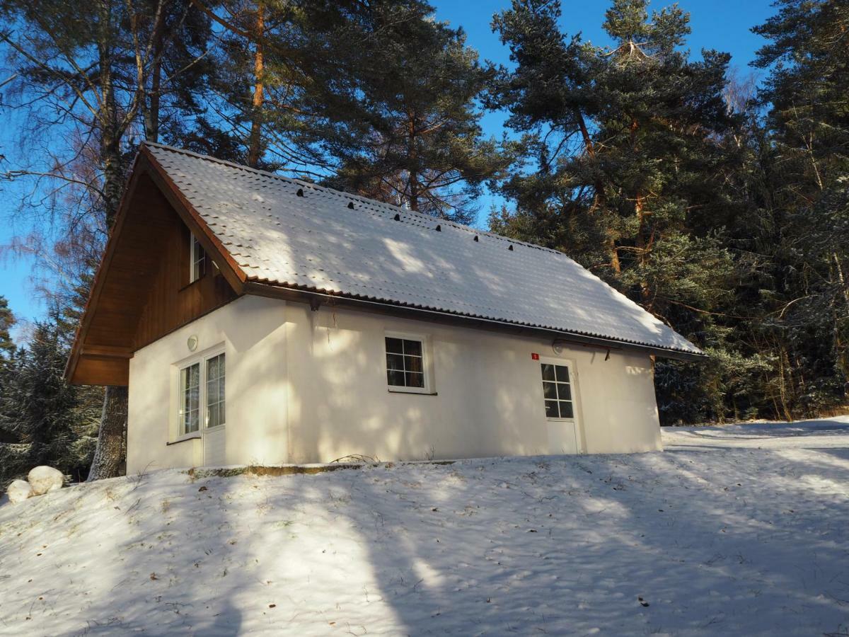 Hotel Lojzovy Paseky Frymburk Esterno foto